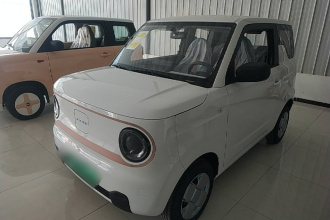 吉利银河 2024款 熊猫mini 200km 耐力熊