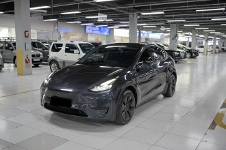 特斯拉 Model Y 2024款 后轮驱动版