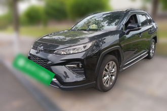 丰田 威兰达 2020款 2.0L CVT四驱豪华版