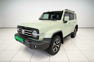 坦克300 2021款 城市版 2.0T 很有型