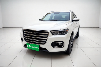 哈弗H6 2020款 2.0GDIT 自动铂金冠军版