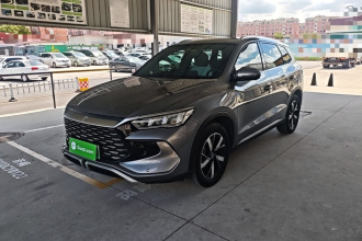 比亚迪 宋Pro新能源 2023款 冠军版 DM-i 110KM超越型