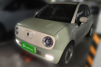 欧拉黑猫 2021款 351km 豪华型