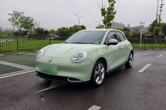 欧拉好猫 2022款 莫兰迪版 400km标准续航 尊贵型 三元锂