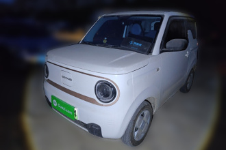 吉利银河 2024款 熊猫mini 200km 龙腾版