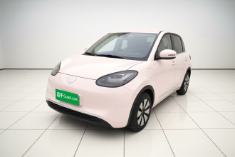 五菱汽车 五菱缤果 2023款 333km 悦享款