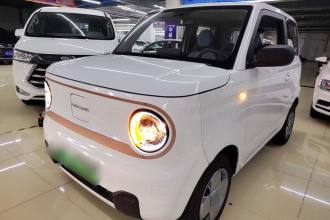 吉利银河 2024款 熊猫mini 200km 耐力熊