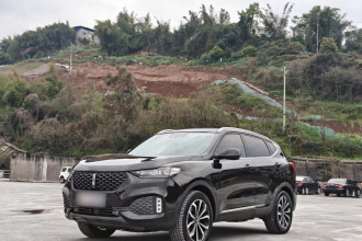 魏牌 VV6 2020款 2.0T 两驱智享+