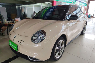 欧拉好猫 2021款 400km标准续航 雅典娜版 三元锂