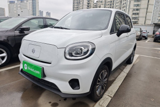 零跑汽车 零跑T03 2024款 310舒享版