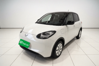 五菱汽车 五菱缤果 2025款 203km 轻享款
