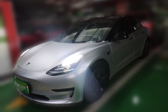 特斯拉 Model 3 2022款 后轮驱动版