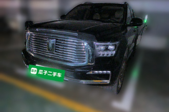 坦克500新能源 2023款 Hi4-T