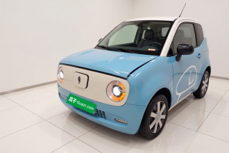 欧拉黑猫 2019款 351km 亲子版