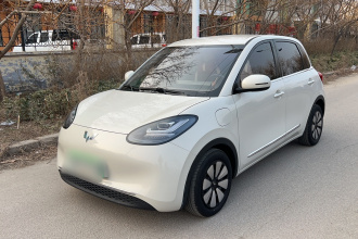 五菱汽车 五菱缤果 2023款 333km 悦享+款