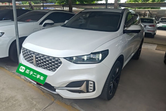 魏牌 VV6 2021款 2.0T 两驱智享+
