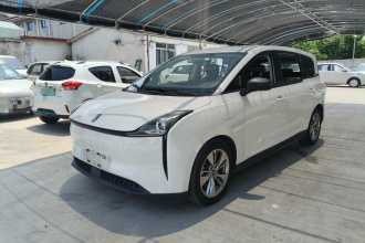 奔腾NAT 2022款 舒享出行版 100kW 419km