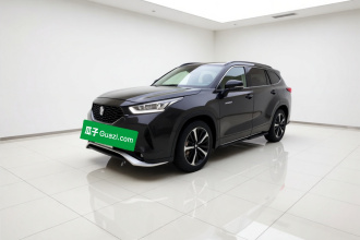 丰田 皇冠陆放 2024款 2.5L HEV四驱豪华版