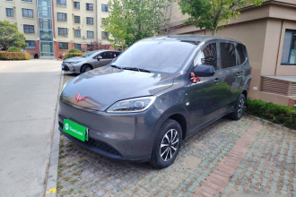 五菱汽车 五菱宏光新能源 2024款 纯电版 300KM 标准型