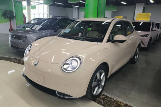 欧拉好猫 2023款 401km标准续航 尊贵型 磷酸铁锂