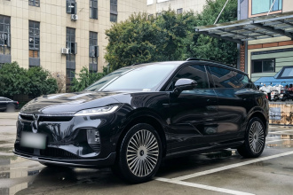 岚图汽车 岚图知音 2024款 长续航智享版