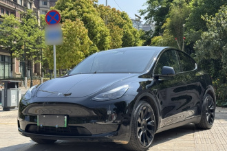 特斯拉 Model Y 2021款 标准续航后驱版