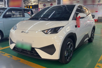 比亚迪 海鸥 2025款 智驾版 305km 自由版