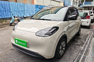 五菱汽车 五菱缤果 2024款 410km 灵犀尊享款