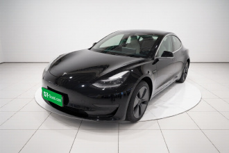 特斯拉 Model 3 2020款 标准续航后驱升级版