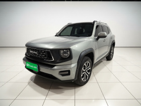 哈弗大狗 PLUS 2023款 2.0T 两驱潮野版Plus