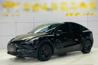 特斯拉 Model Y 2022款 改款 长续航全轮驱动版