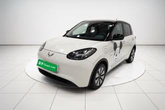 五菱汽车 五菱缤果 2024款 333km 悦享款