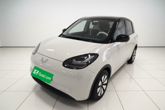 五菱汽车 五菱缤果 2024款 333km 灵犀互联款
