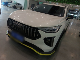 哈弗赤兔 2021款 激擎版 1.5T 黄金兔