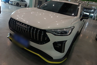 哈弗赤兔 2021款 激擎版 1.5T 黄金兔