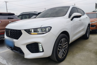 魏牌 VV5 2019款 升级款 2.0T 两驱超豪型 国VI