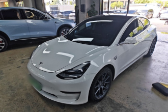 特斯拉 Model 3(进口) 2019款 长续航后驱版