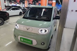 五菱汽车 宏光MINIEV 2024款 第三代 215km 青春版