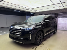 星途揽月 2021款 390T 四驱星耀版