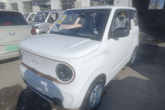 吉利银河 2024款 熊猫mini 200km 耐力熊