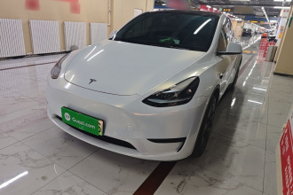 特斯拉 Model Y 2024款 后轮驱动版