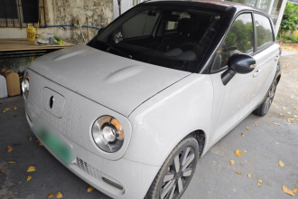 欧拉黑猫 2021款 351km 标准型