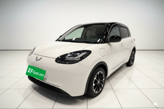 五菱汽车 五菱缤果 2024款 333km 悦享款