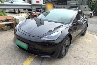 特斯拉 Model 3 2021款 标准续航后驱升级版 3D6