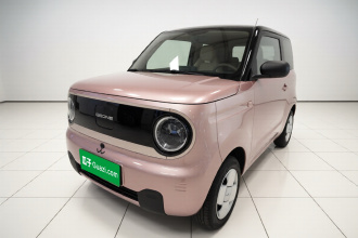 吉利银河 2024款 熊猫mini 200km 耐力熊