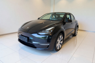 特斯拉 Model Y 2022款 长续航全轮驱动版