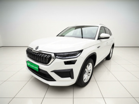 斯柯达 柯迪亚克 2024款 TSI330 5座两驱实力版