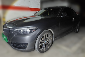 宝马2系(进口) 2019款 225i 敞篷轿跑车 运动设计套装