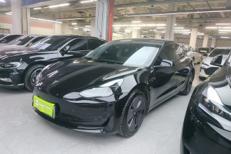 特斯拉 Model 3 2022款 后轮驱动版
