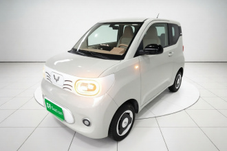 五菱汽车 宏光MINIEV 2024款 第三代 215km 青春版